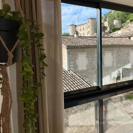 Apartment Sejour Cosy Avec Vue Sur Chateau A Vogue